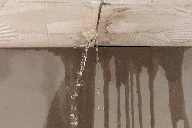 Professional Water Damage Repair technician working in Laura, OH